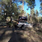 Review photo of C101 Wolf Creek Road Dispersed Camping by Lily S., April 17, 2022