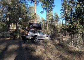 C101 Wolf Creek Road Dispersed Camping
