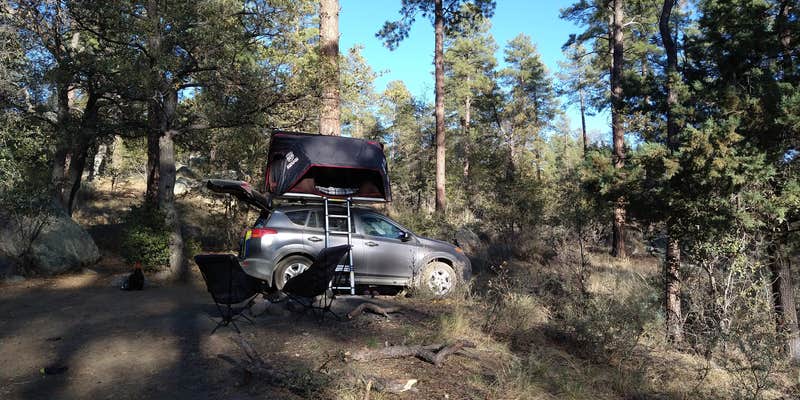 Camper submitted image from C101 Wolf Creek Road Dispersed Camping