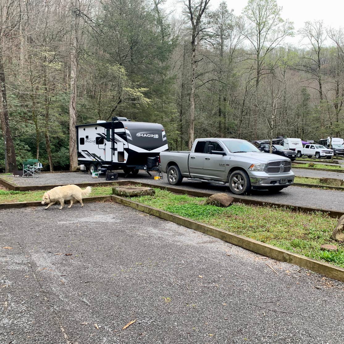 Holder Cove Campground Camping The Dyrt