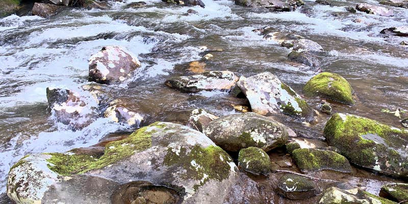 Camper submitted image from Holder Cove Campground