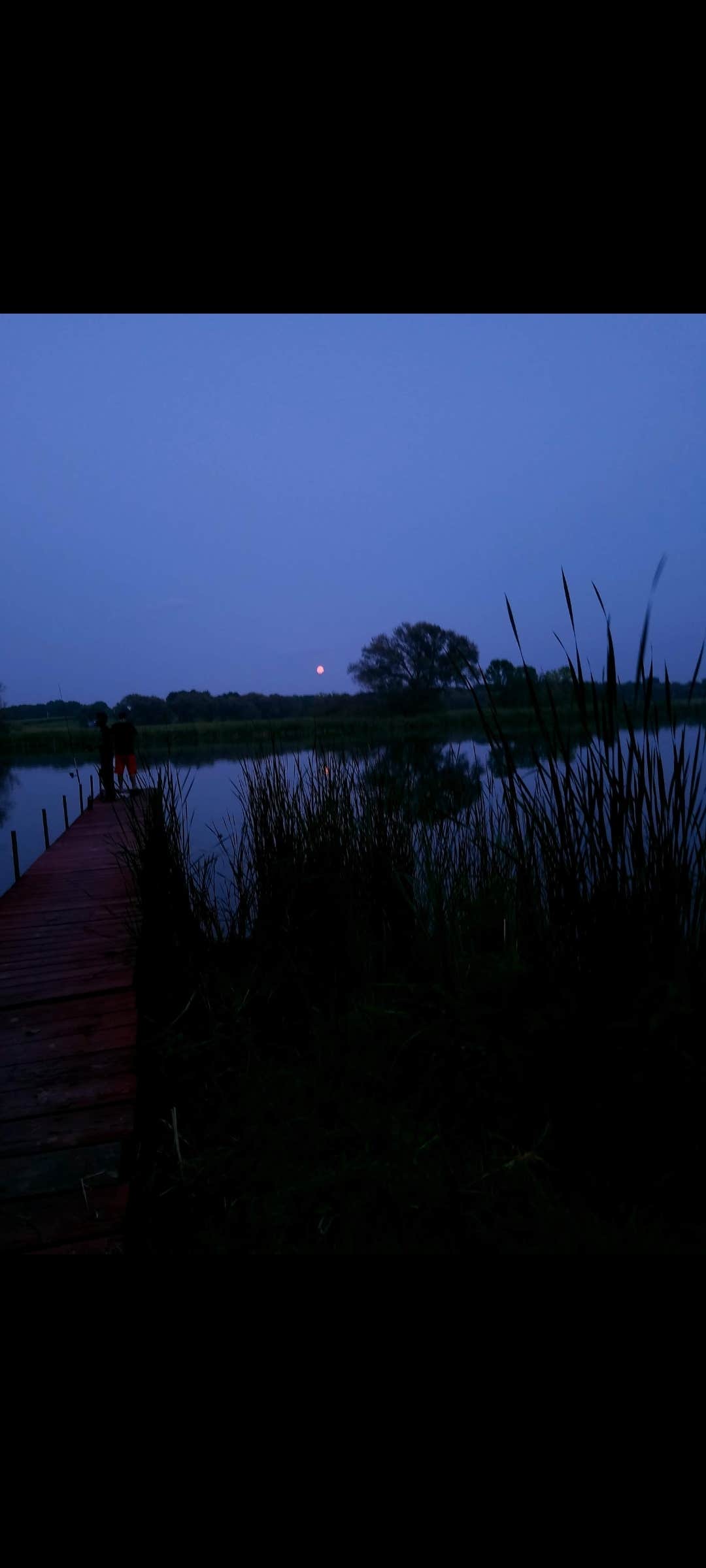 Camper submitted image from The Playful Goose Campground - 3