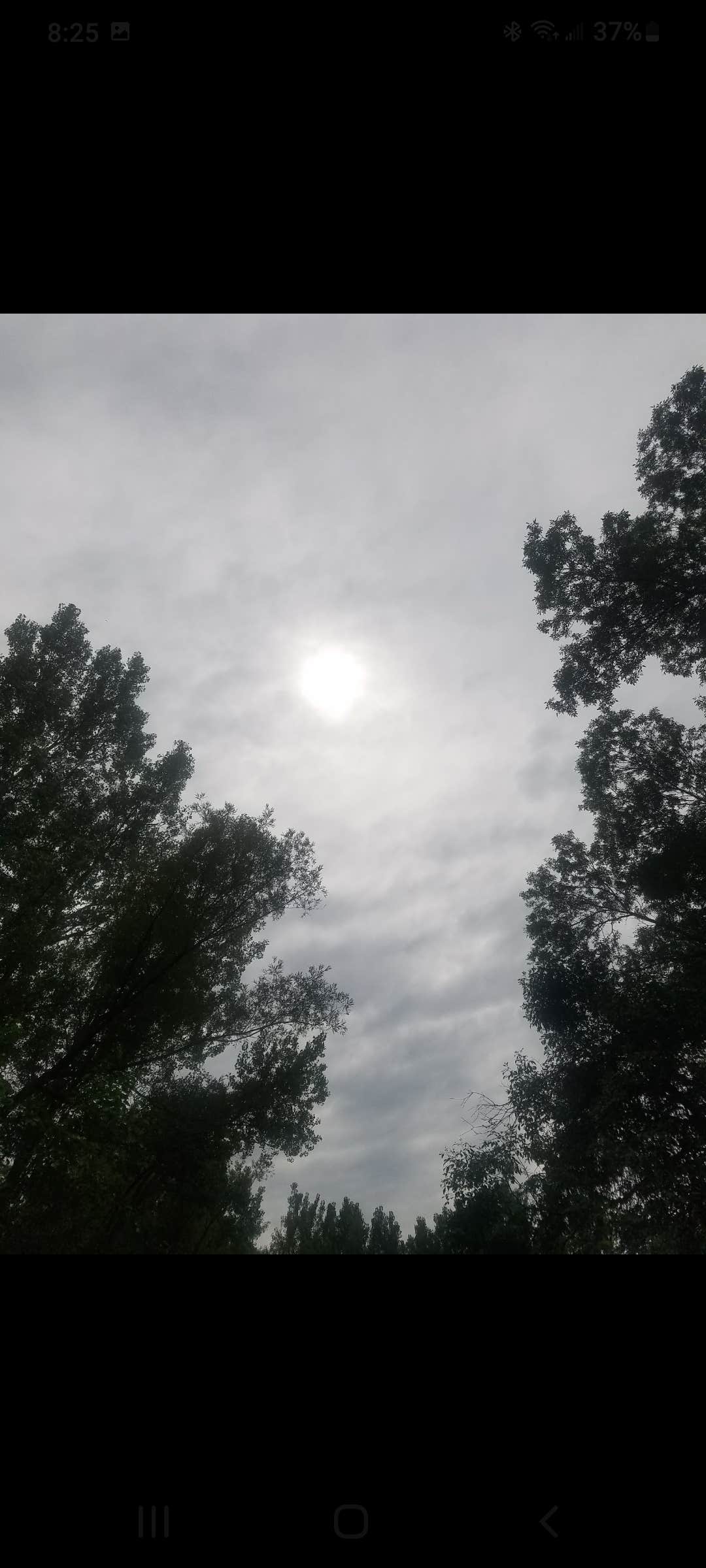 Camper-submitted photo at The Playful Goose Campground near Waupun, WI