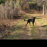 Review photo of Ice Age - Devils Lake State Park by justin , April 17, 2022