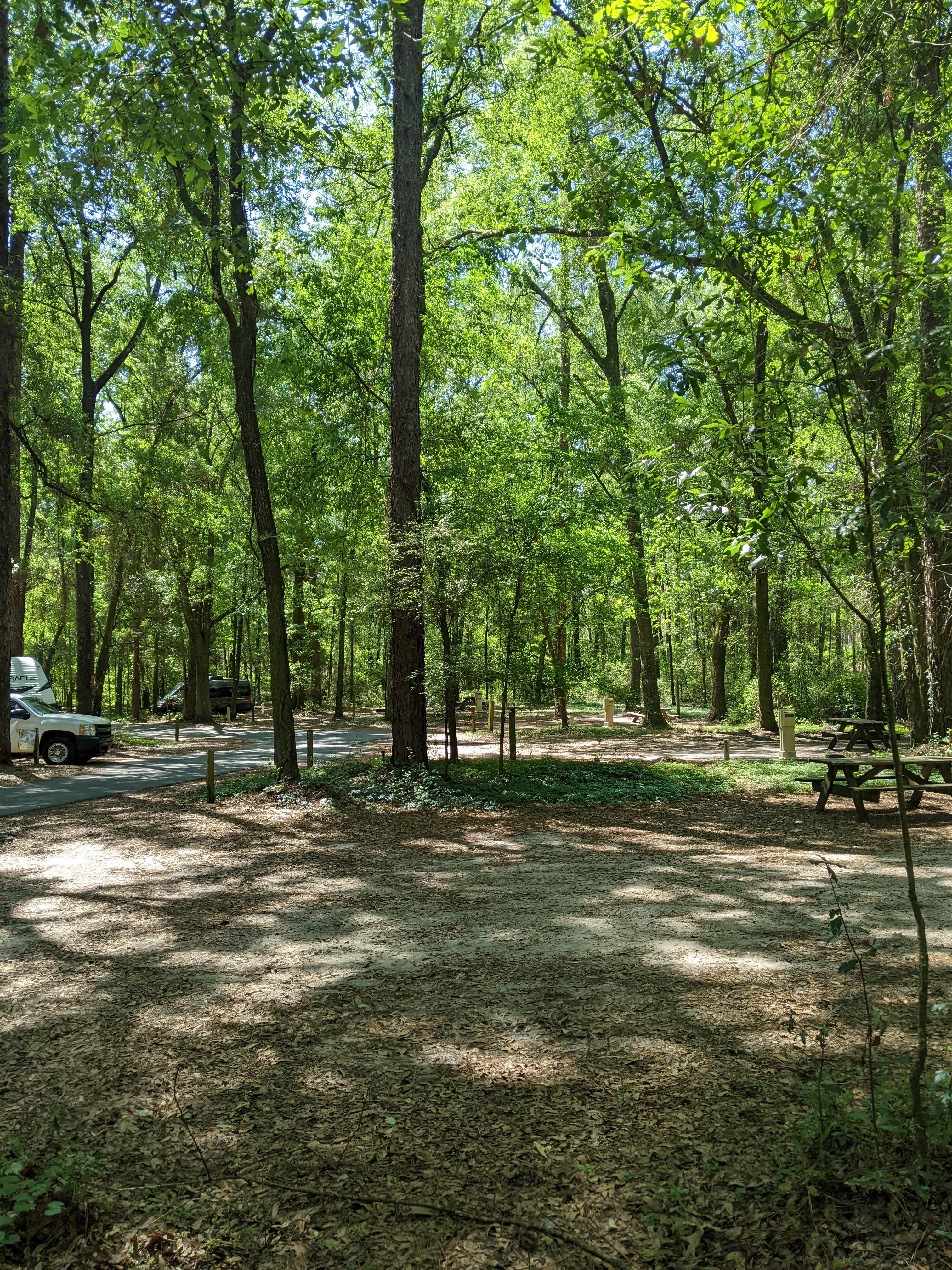 Camper-submitted photo at Suwannee River Rendezvous Resort and Campground near Branford, FL