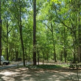Review photo of Suwannee River Rendezvous Resort and Campground by Jason Z., April 18, 2022