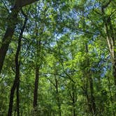 Review photo of Suwannee River Rendezvous Resort and Campground by Jason Z., April 18, 2022