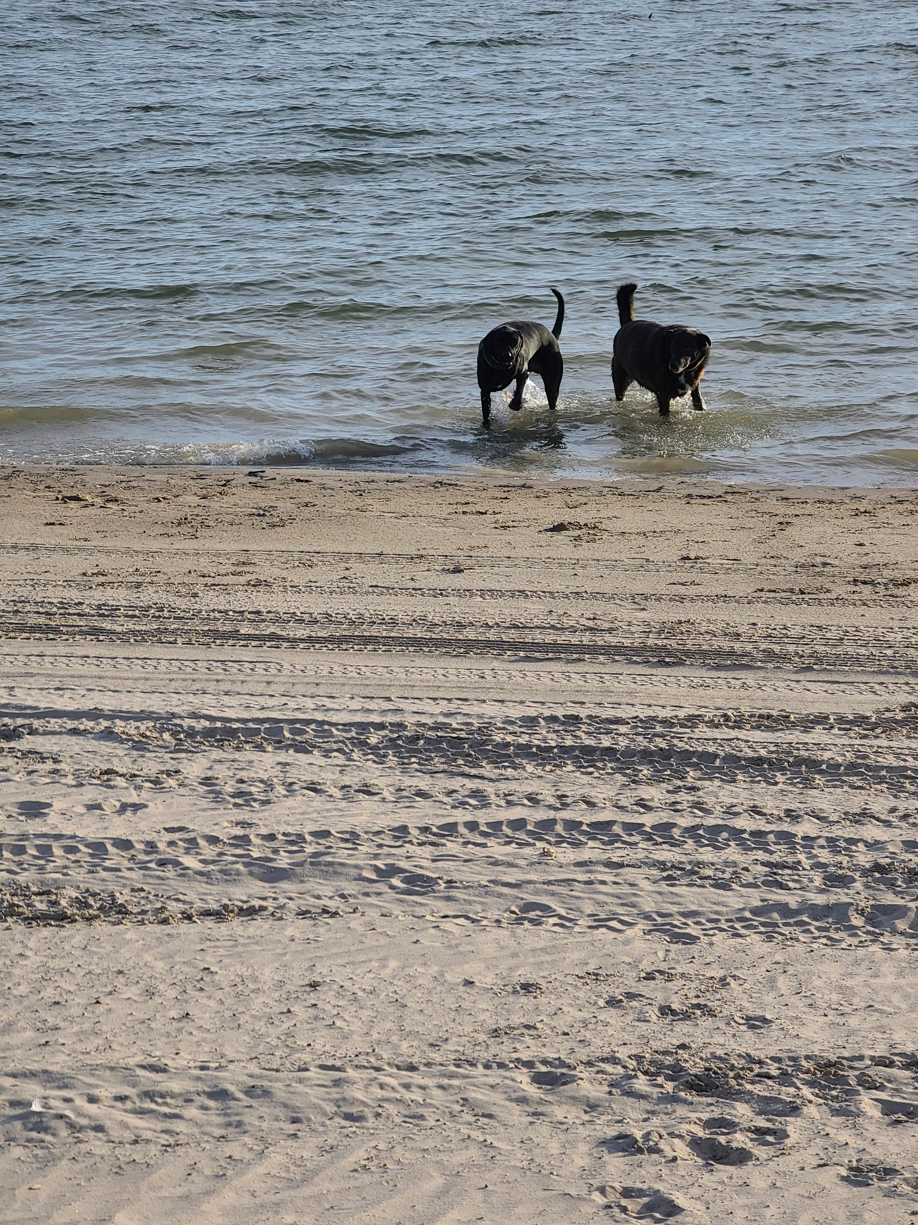 Camper-submitted photo at Cedar View Campground — Lake McConaughy near Lewellen, NE