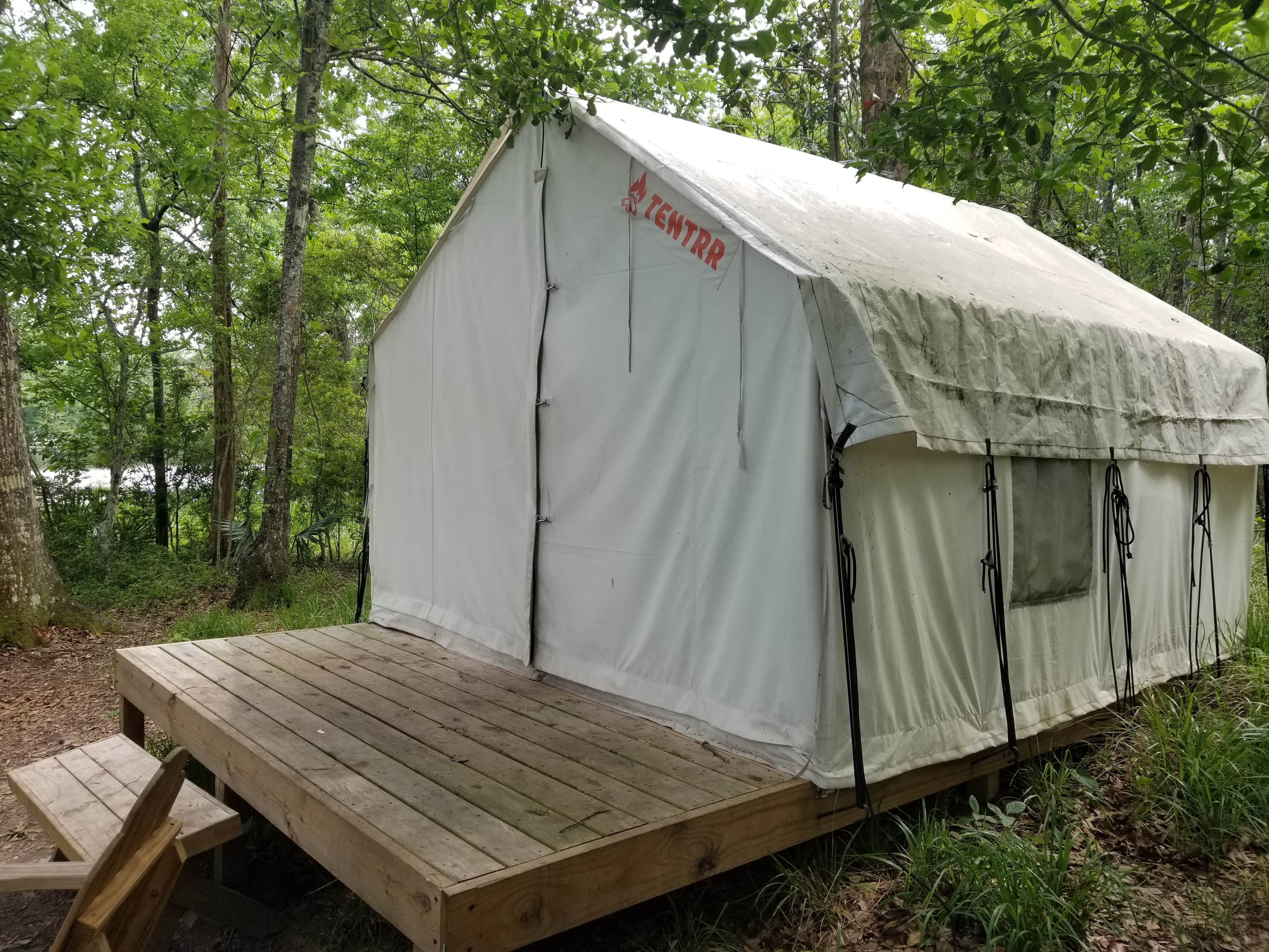 Gregg G.'s photo at Fontainebleau State Park Campground in Louisiana