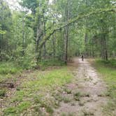 Review photo of Fontainebleau State Park Campground by Gregg G., April 18, 2022