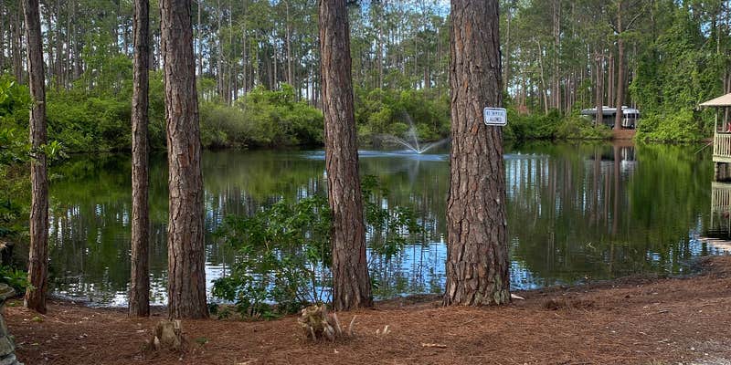 Camper submitted image from Pineglen Motorcoach & RV Park