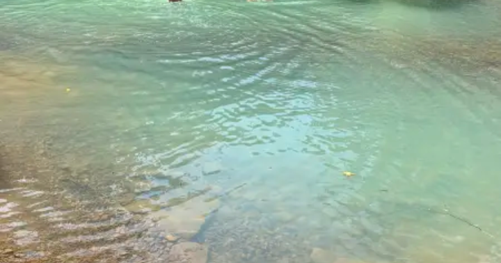 Kings River Falls Campground