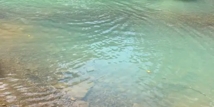 Camper submitted image from Kings River Falls Campground