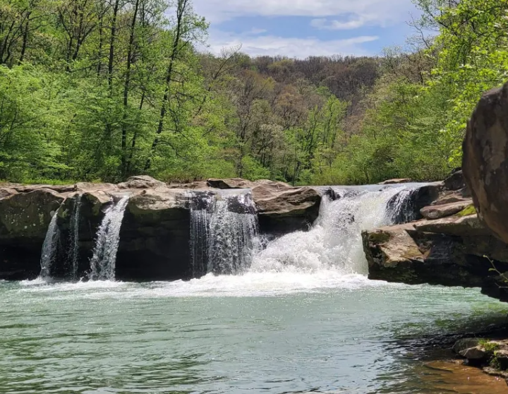 Camper submitted image from Kings River Falls Campground - 3