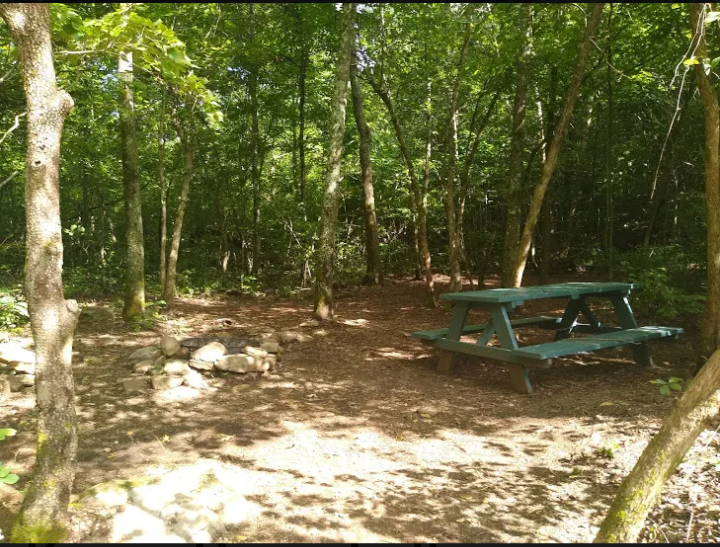 Camper-submitted photo at Kings River Falls Campground near St. Paul, AR