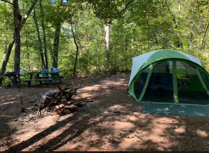 Rhonda L.'s photo at Kings River Falls Campground in Arkansas