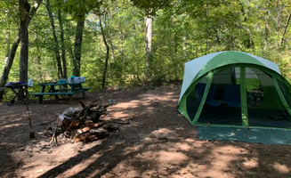 Rhonda L.'s photo of tent camping at Kings River Falls Campground near Greenland, AR