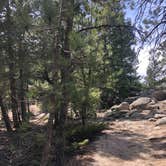 Review photo of Dream Canyon Campsites - Dispersed Camping by Sierra T., April 18, 2022