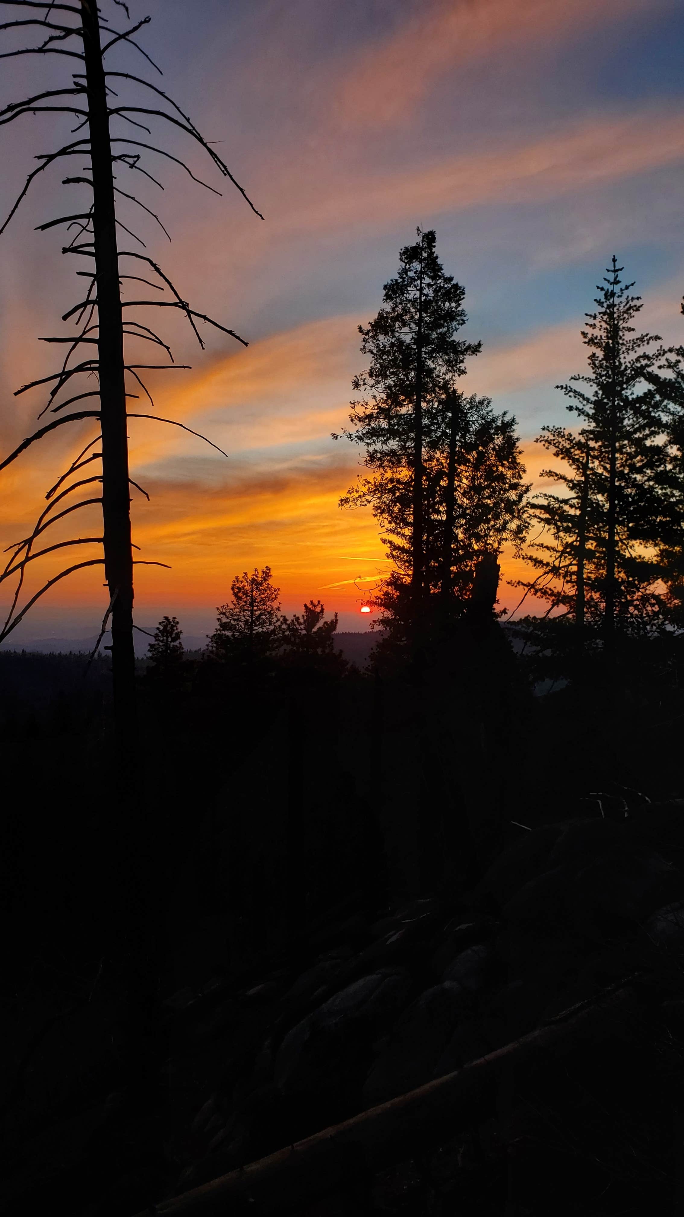 Camper-submitted photo at Azalea Campground — Kings Canyon National Park near Hume, CA