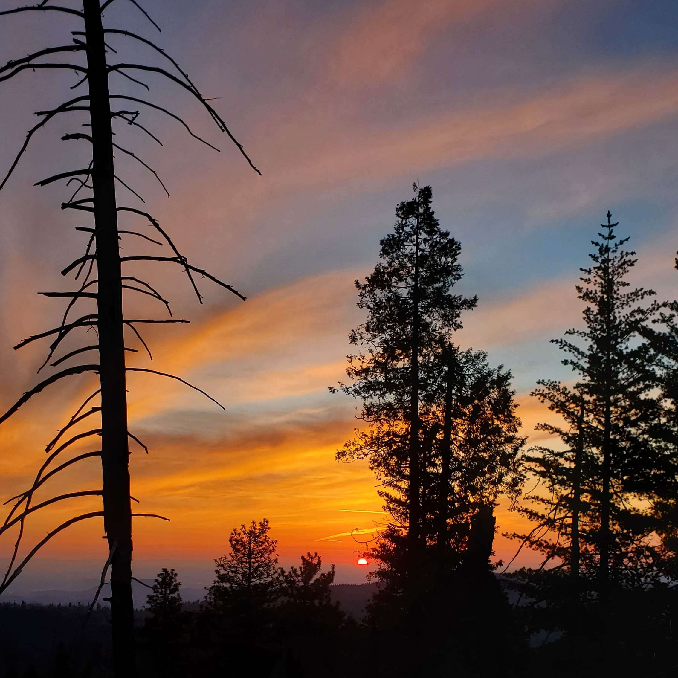 Azalea Campground — Kings Canyon National Park