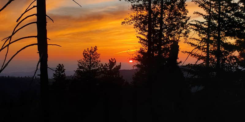 Camper submitted image from Azalea Campground — Kings Canyon National Park