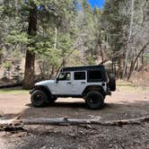 Review photo of Forest Road 568 - Dispersed Camping by Scott F., April 18, 2022