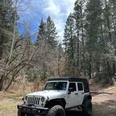 Review photo of Forest Road 568 - Dispersed Camping by Scott F., April 18, 2022