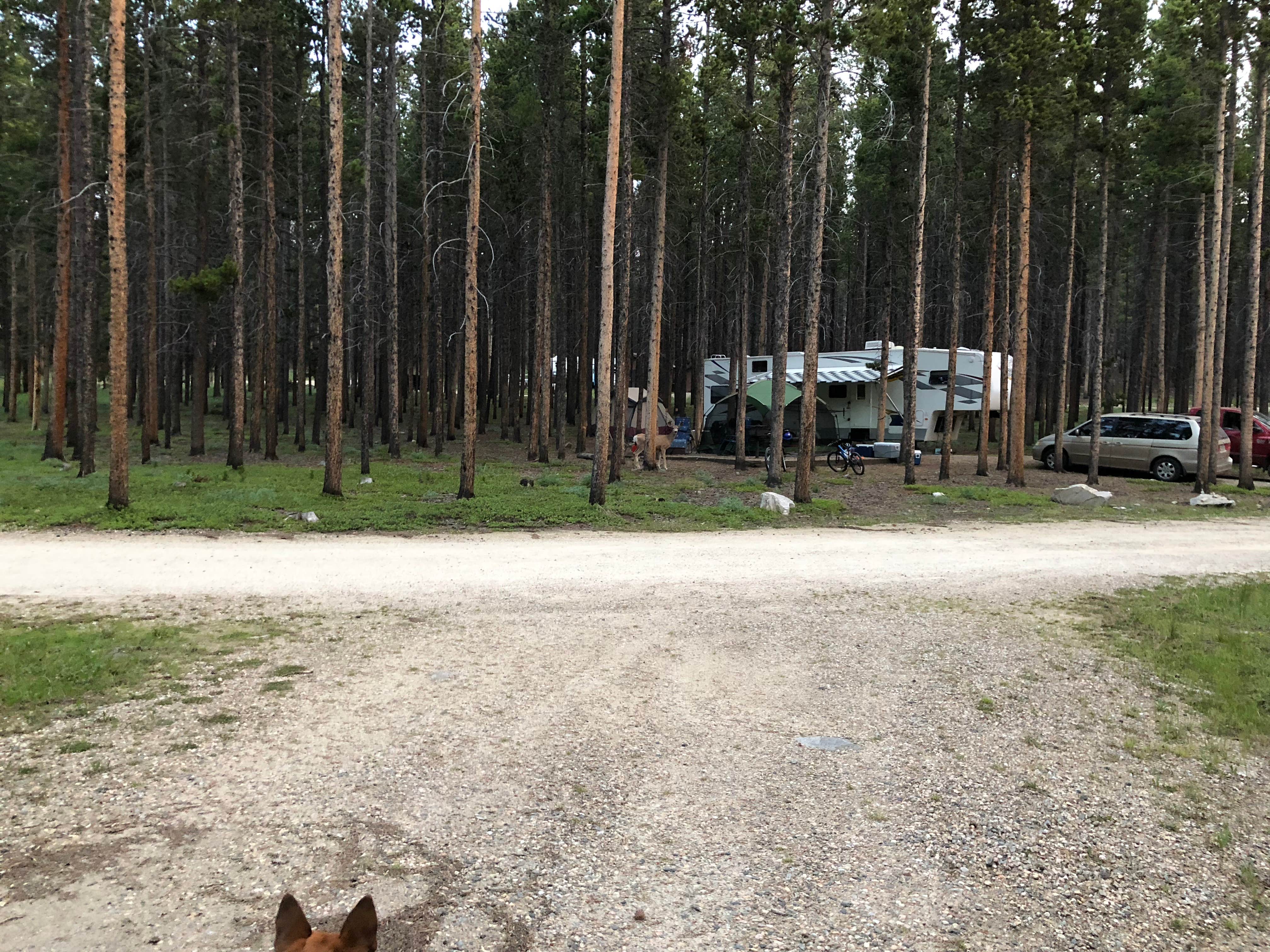 Camper-submitted photo at Tie Hack near Saddlestring, WY