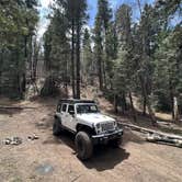 Review photo of Forest Road 568 - Dispersed Camping by Scott F., April 18, 2022