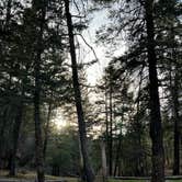 Review photo of Forest Road 568 - Dispersed Camping by Scott F., April 18, 2022