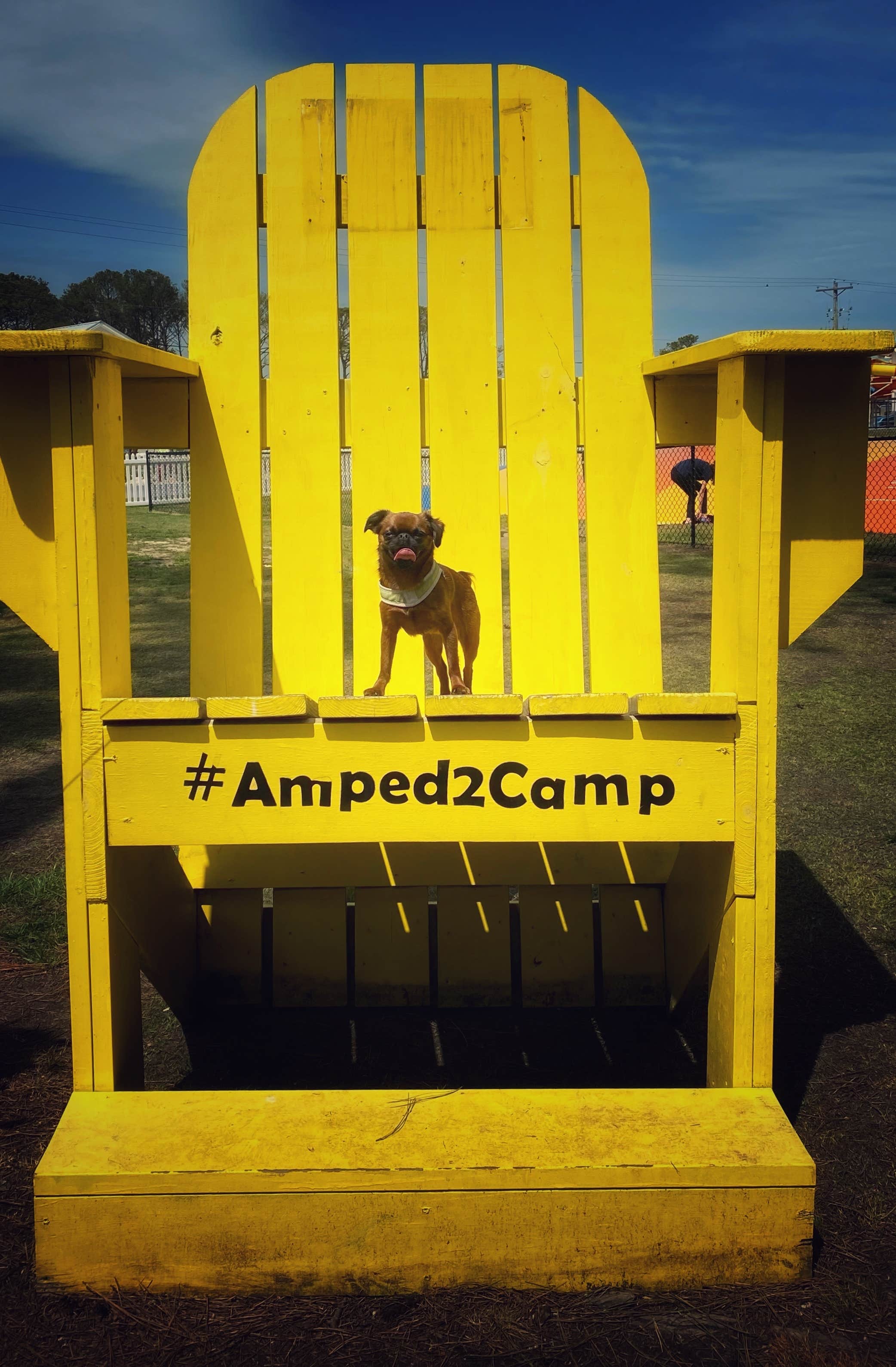 Tracey G.'s photo of camping with pets at Jellystone Park™ Chincoteague Island near Pocomoke City, MD