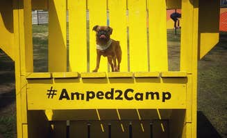 Tracey G.'s photo of camping with pets at Jellystone Park™ Chincoteague Island near Assateague Island National Seashore