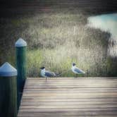 Review photo of Jellystone Park™ Chincoteague Island by Tracey G., April 18, 2022