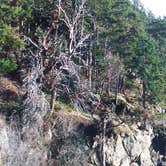 Review photo of Larrabee State Park Campground by Jessica M., July 25, 2016