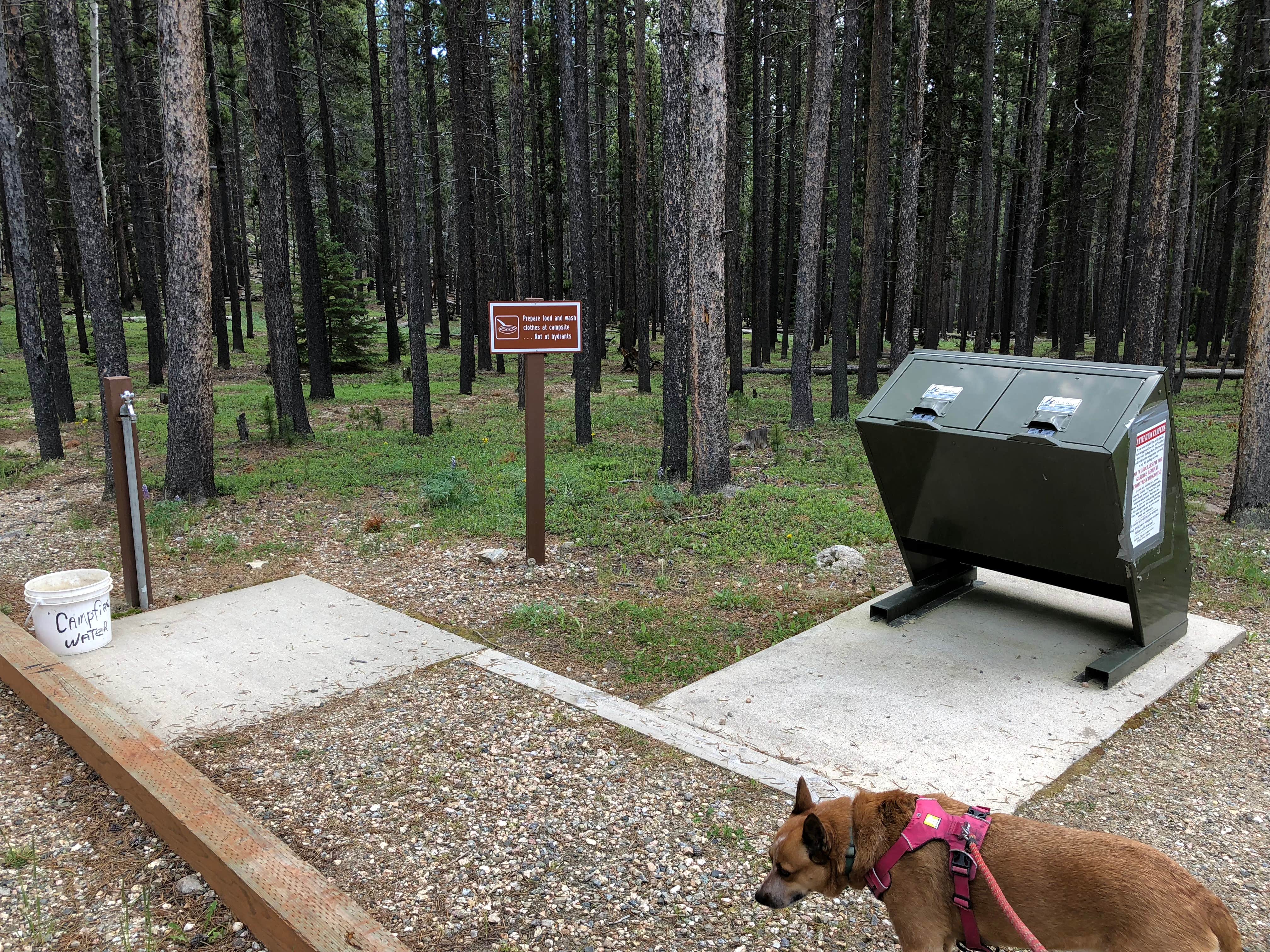 Camper-submitted photo at Tie Hack near Saddlestring, WY