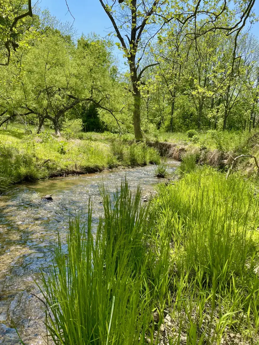 Camper-submitted photo at Camp Winery near Crofton, MD