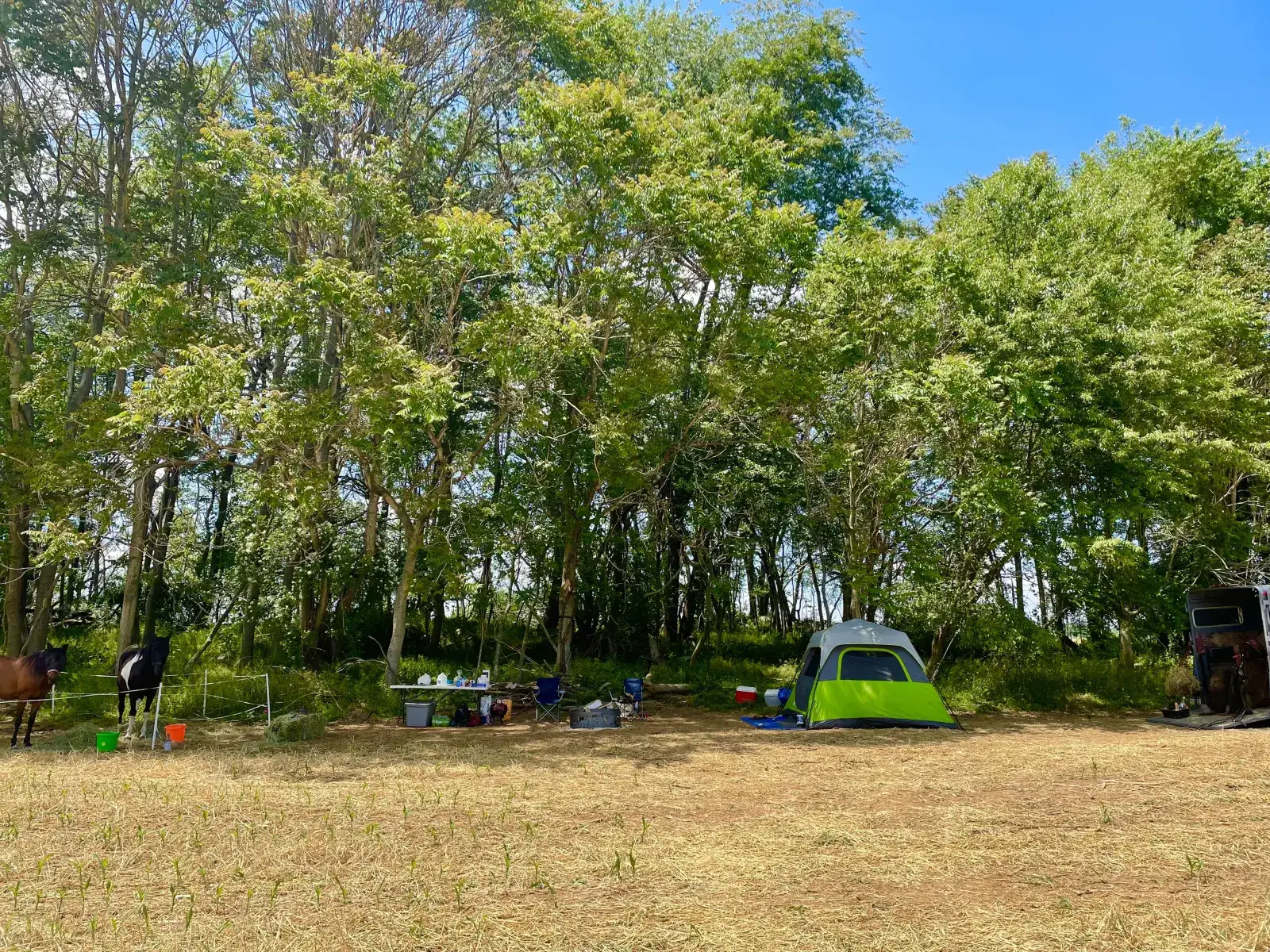 Camper-submitted photo at Camp Winery near Crofton, MD