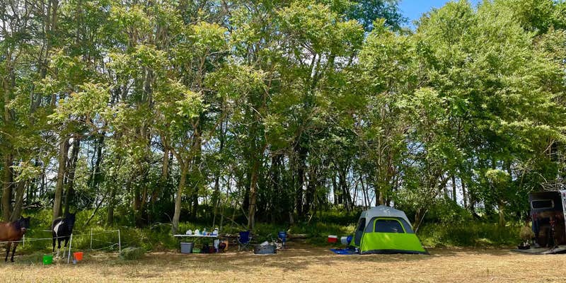 Camper submitted image from Camp Winery