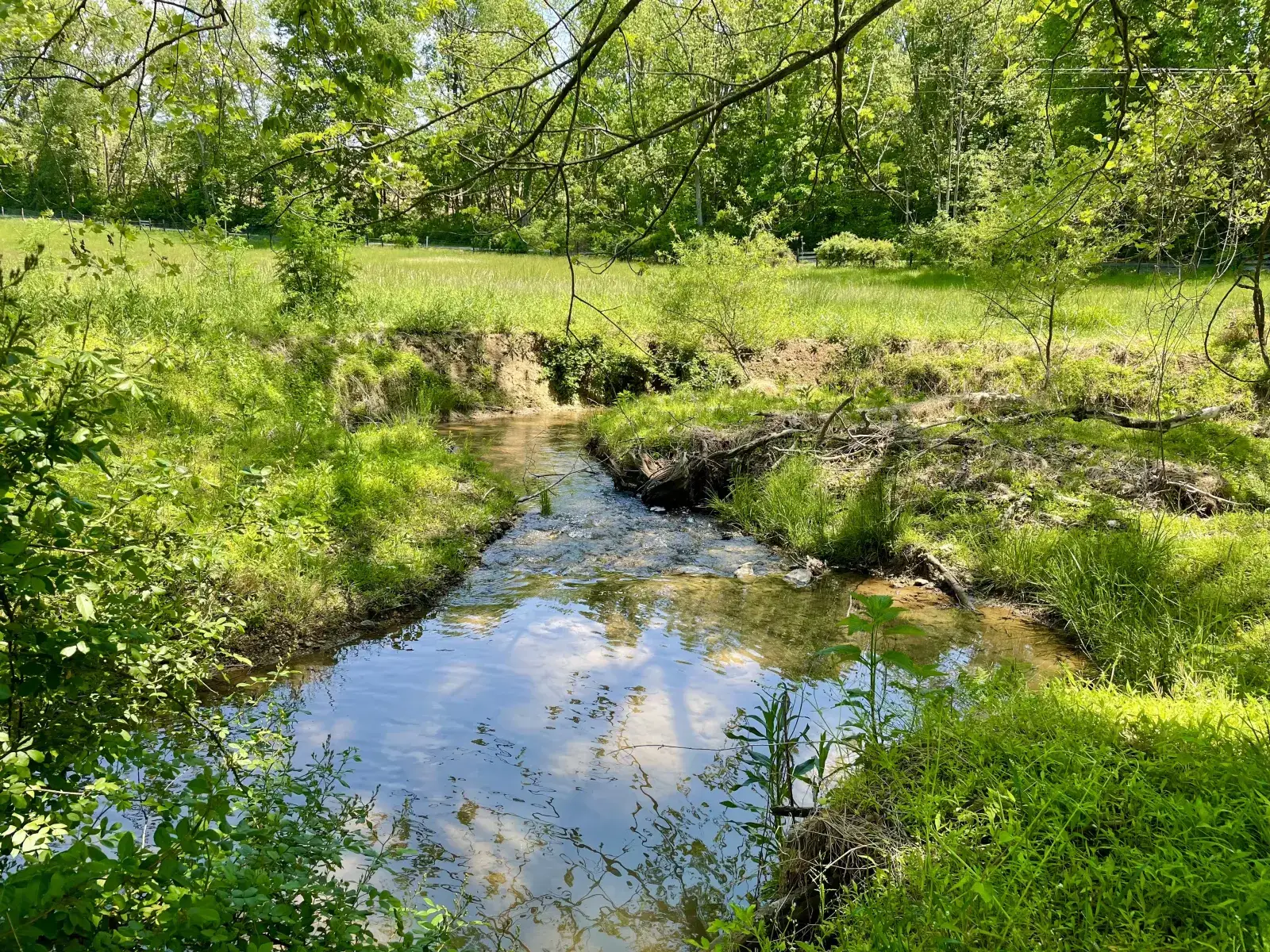 Camper-submitted photo at Camp Winery near Crofton, MD