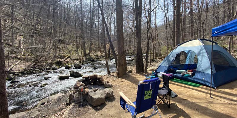 Camper submitted image from Crabtree Falls Campground