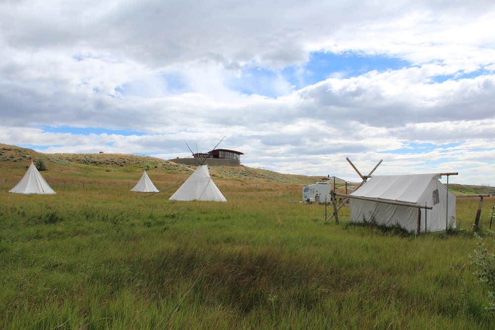 Camper-submitted photo at Big Quiet Farm Stay & Campground near Cowley, WY
