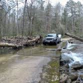 Review photo of Ball Field Dispersed Camping Area by Steve V., April 19, 2022