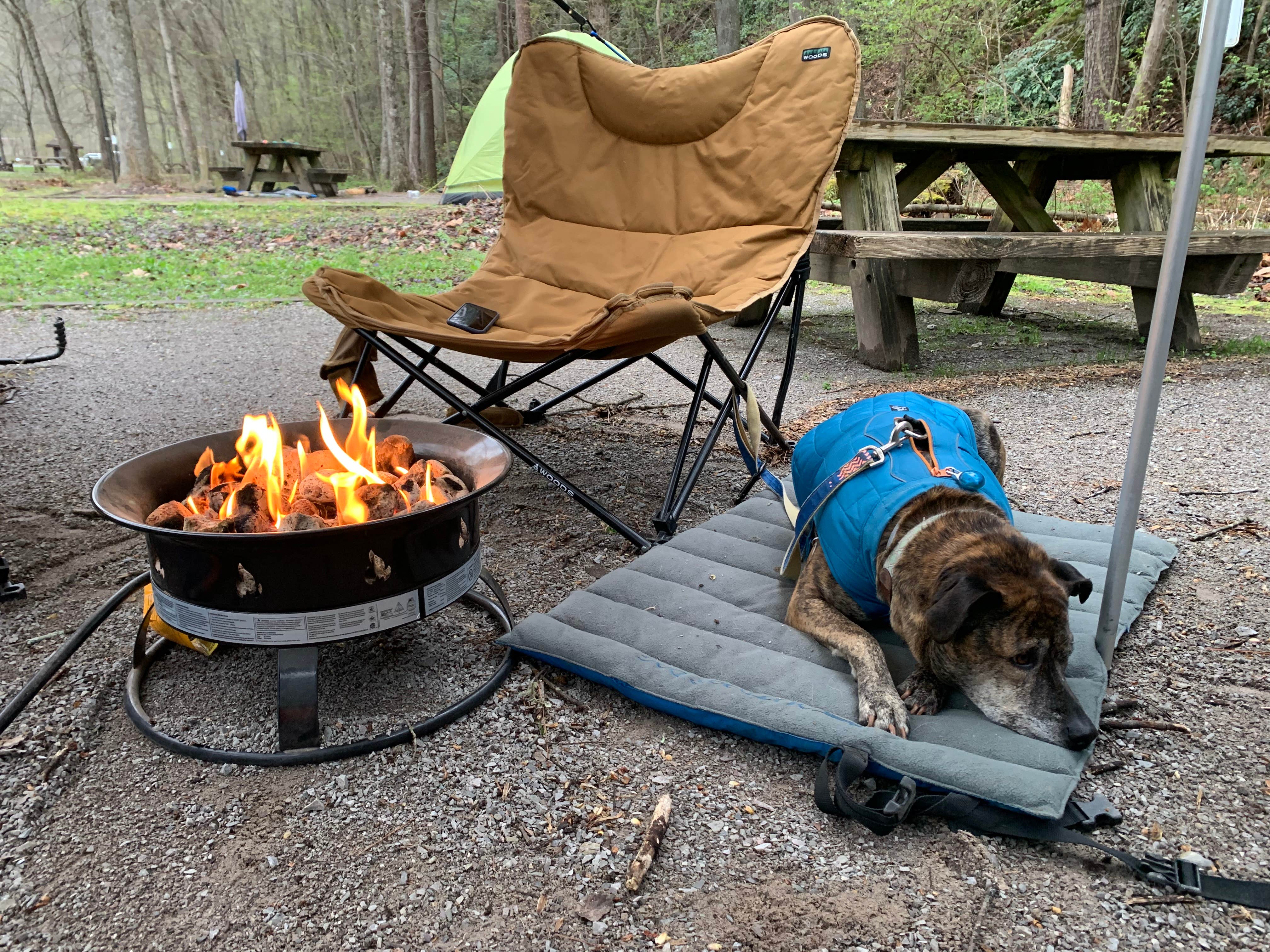Steve V.'s photo at Thunder Rock Campground near Copperhill, TN