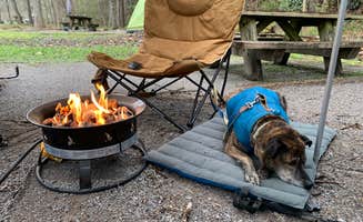 Steve V.'s photo at Thunder Rock Campground near Copperhill, TN