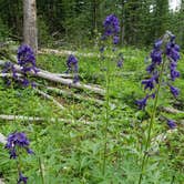 Review photo of Horseshoe Campground by Todd J., April 19, 2022