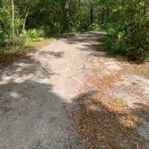 Review photo of River Junction Campground - Withlacoochee State Forest by TERIA M., April 19, 2022