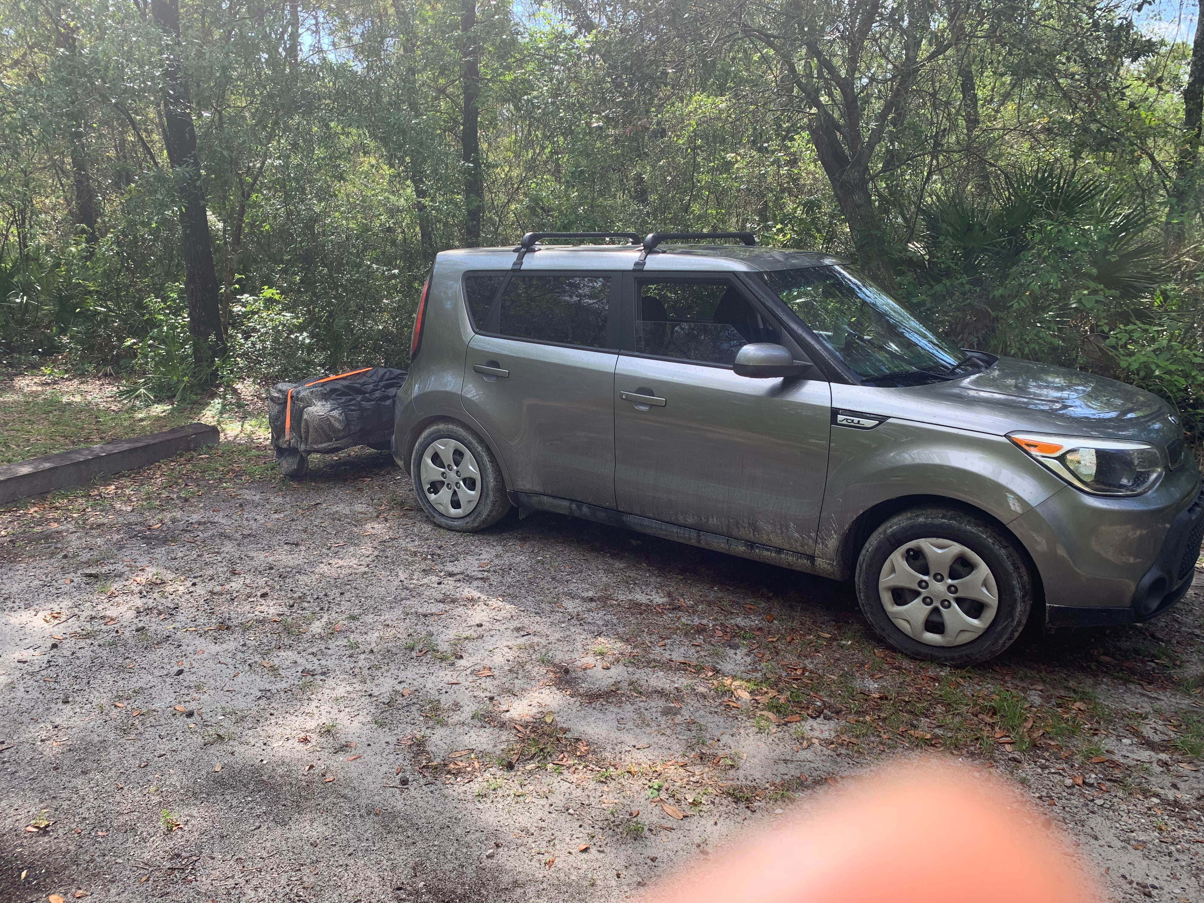 Camper submitted image from River Junction Campground - Withlacoochee State Forest - 3