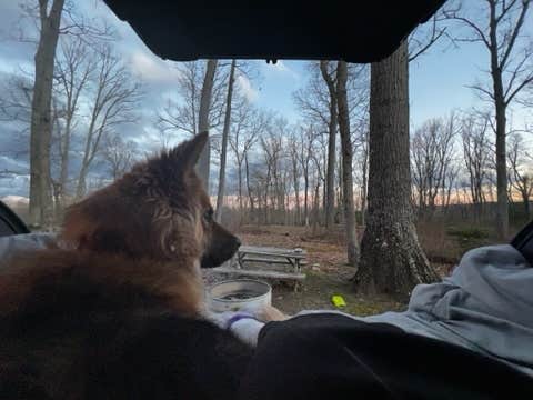 Heidi G.'s photo of camping with pets at Arrowhead Bike Farm near Lansing, WV