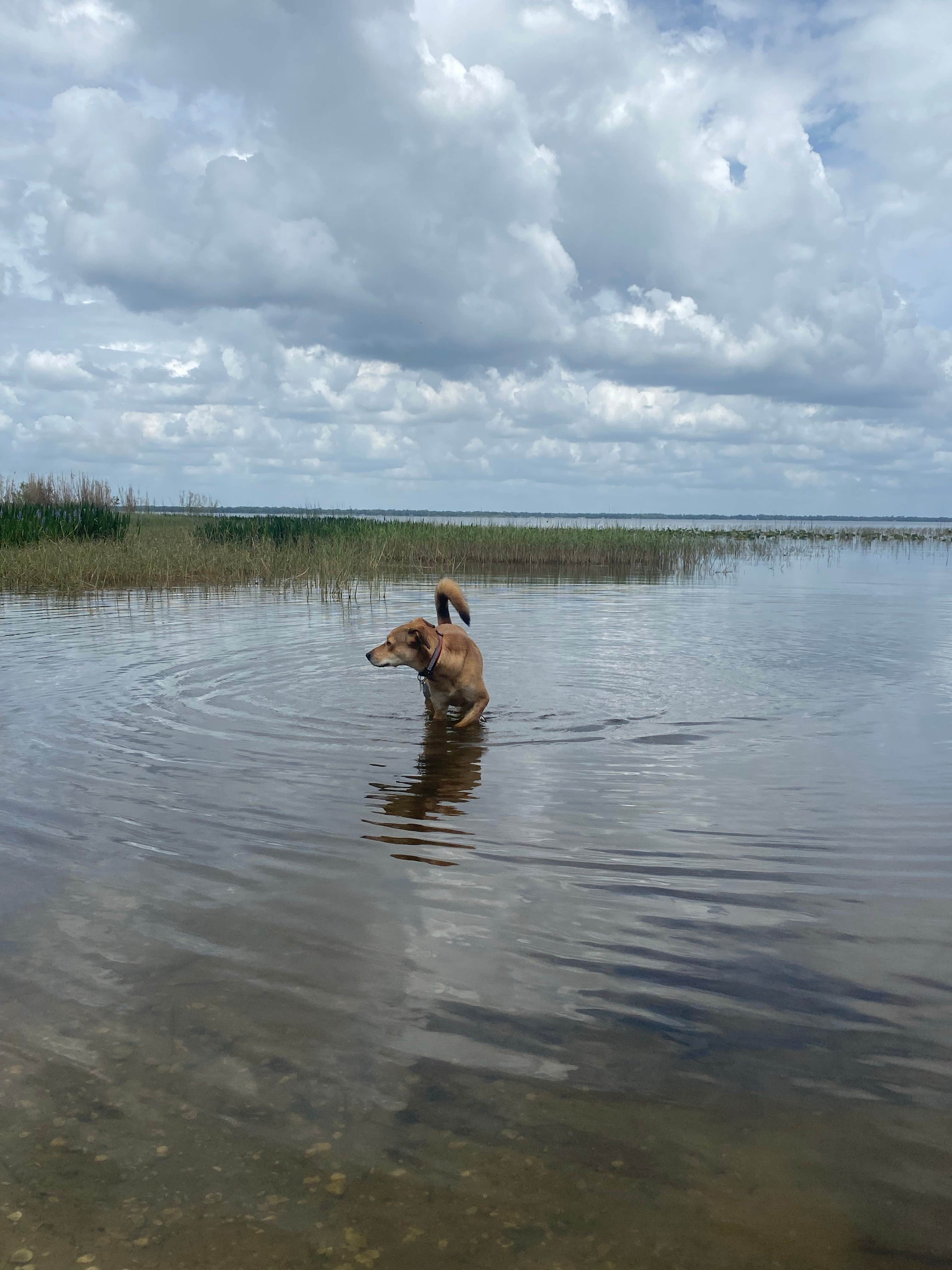 Camper-submitted photo at Lake Rosalie Campground near Nalcrest, FL