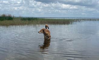 Montero Santiago J.'s photo of camping with pets at Lake Rosalie Campground near Poinciana, FL